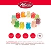 image:imageAlbanese Worlds Best 12 Flavor Gummi Bear Cubs  5005oz Snack Packs of Candy  Miniature Individually Wrapped Soft Gummy Cherry Blue Raspberry and More  Perfect for Kids Classroom Parties5 Pound Pack of 1