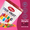 image:imageAlbanese Worlds Best True to Fruit  American Favorite Fruits Gummies 25oz Bag Pack of 12 Individually Wrapped Soft amp Chewy Candy SnacksAmerican Favorite Fruits