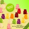 image:imageAlbanese Worlds Best True to Fruit  American Favorite Fruits Gummies 25oz Bag Pack of 12 Individually Wrapped Soft amp Chewy Candy SnacksExotic Fruits