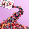 image:imageAlbanese Worlds Best True to Fruit  American Favorite Fruits Gummies 25oz Bag Pack of 12 Individually Wrapped Soft amp Chewy Candy SnacksFarm Fresh Berries