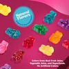 image:imageAlbanese Worlds Best Ultimate 8 Flavor Gummi Bears 5 Ounce Bag Pack of 6 Individually Wrapped Soft amp Chewy Candy SnacksAmerican Favorite Fruits